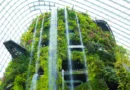 What Is Green Architecture And Why Is It The Future