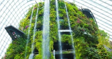 What Is Green Architecture And Why Is It The Future