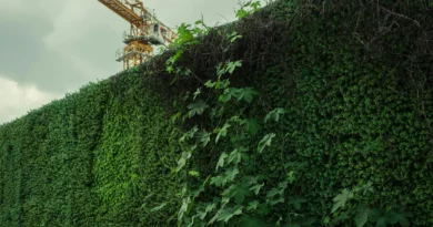 What Are The Benefits of Green Walls Architecture