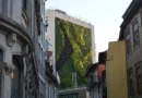 How Does Living Wall Architecture Improve Air Quality