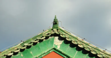 What Is Green Roof Architecture And Why Use It