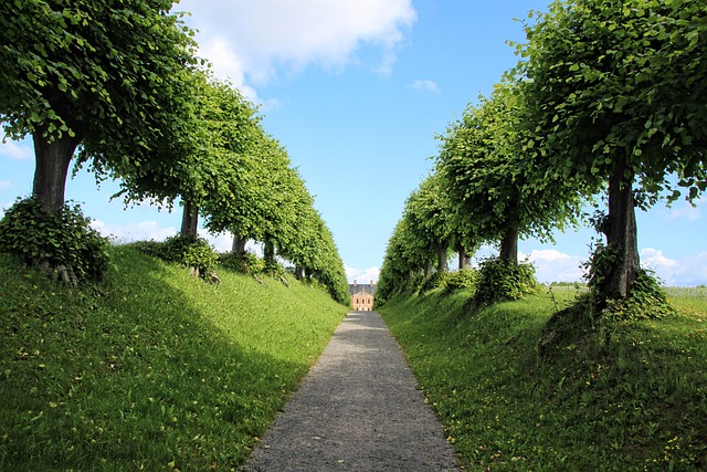 green architecture taschen