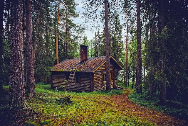 dogtrot barndominium