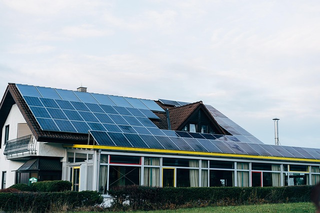 eco building design