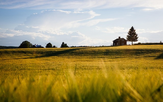 farm house home plans