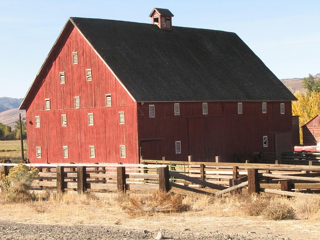old western building fronts