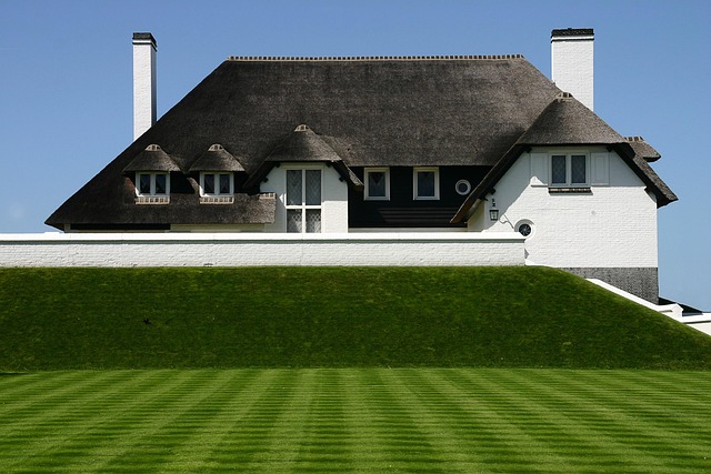 archdaily green roof