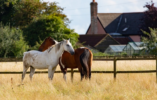 ranch style barndominium