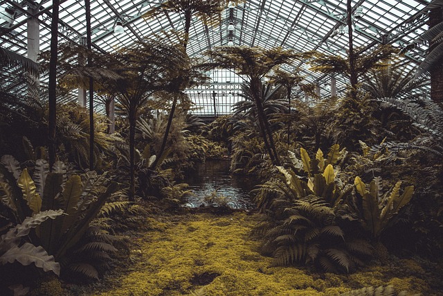 eco architecture