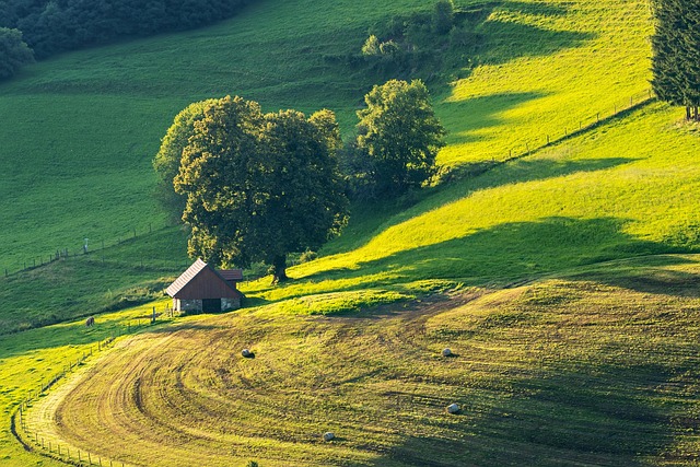 farm home plans