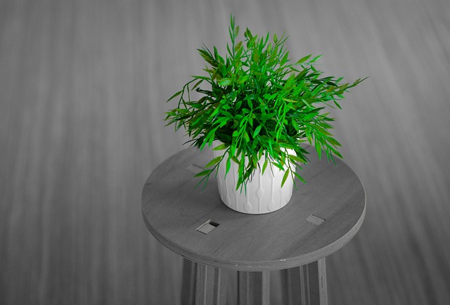 organic modern interior design