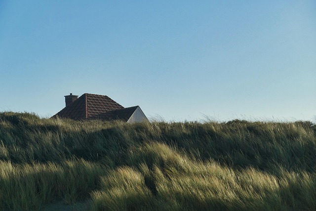 beach house plans