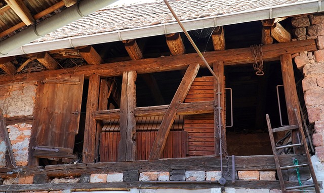 barn house plans