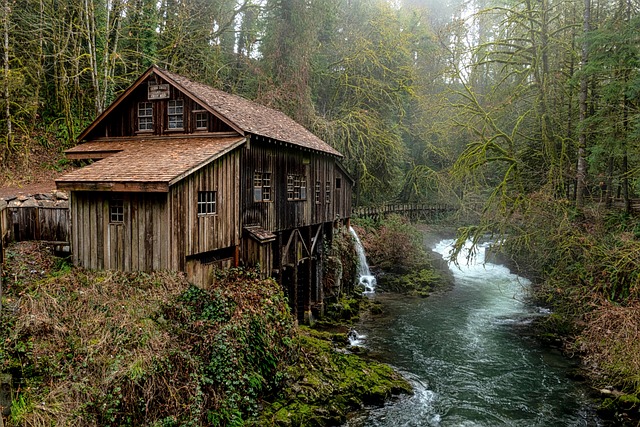 cabin house plans