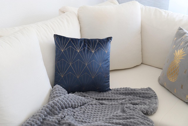 couch pillow
