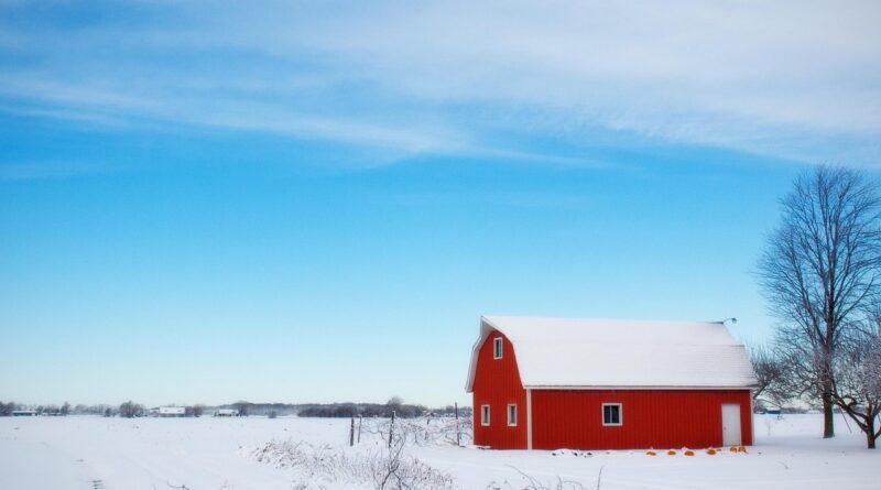barn, snow, farm, snow covered, snowy, wintry, cold, frost, frosty, nature, hoarfrost, winter barn, rural, red barn, country, countryside