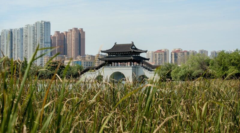 asia, china, xiangtan, landscape, scenic, horizon, city, urban, building, architecture, cityscape, outdoors, park, nature, garden, bridge, lake, grass, leaves, green, historical, old, story