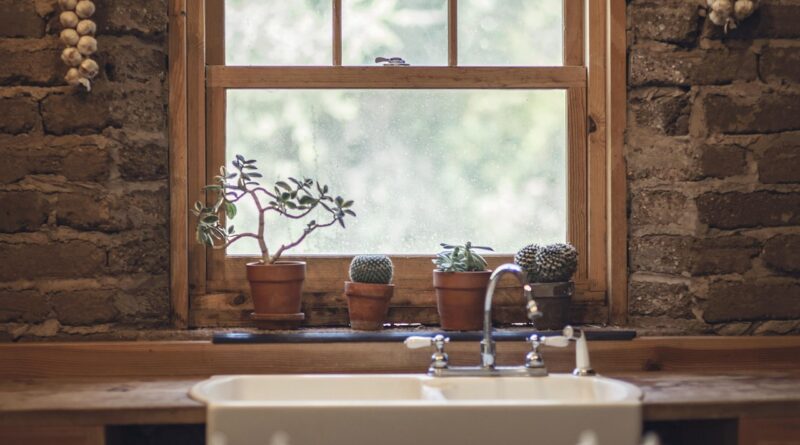 garlic, cactus, window, green, house, cooking, farm, farmhouse, country, lifestyle, table, nutrition, wooden, plant, design, happy, garden, dinner, agriculture, meal, kitchen, natural, vegetable, home, organic, fresh, healthy, vegetarian, diet, salad, cook, tomato, food, nature, window, window, house, kitchen, kitchen, kitchen, kitchen, kitchen, home