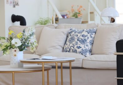 sofa, book, living room, interior, table, this home, this special steel company, this excellent professor, cushion, potted plant, window, stand, sofa, sofa, living room, living room, living room, living room, living room, cushion, cushion