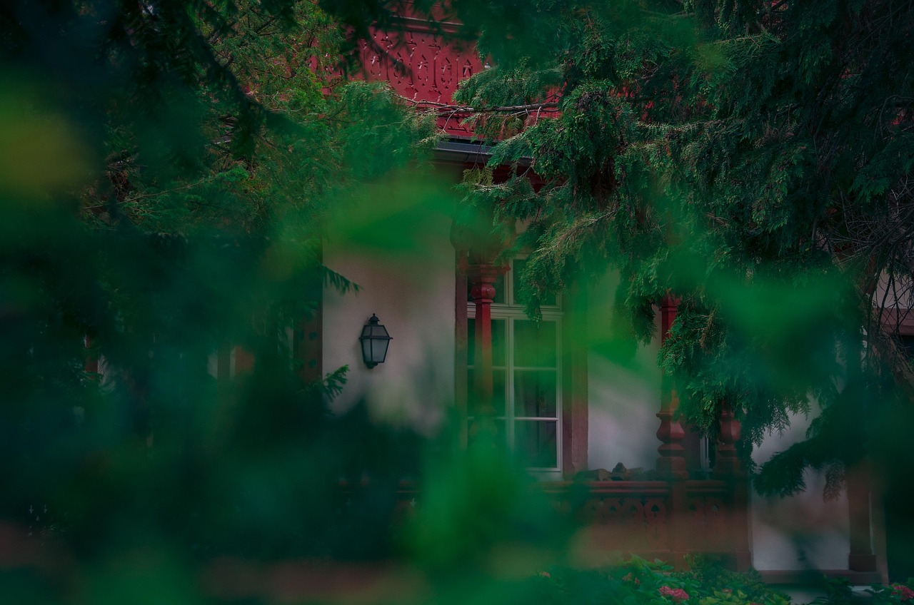 facade, truss, house facade, architecture, historic center, historically, nature, green, trees, summer day