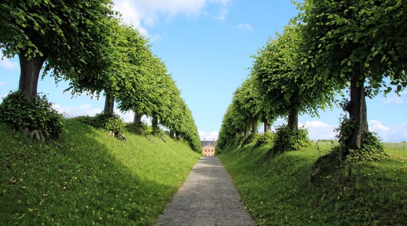 castle, avenue, trees, nature, heaven, garden, architecture, perspective, bothmer, linden tree, green, castle, heaven, garden, garden, garden, garden, garden
