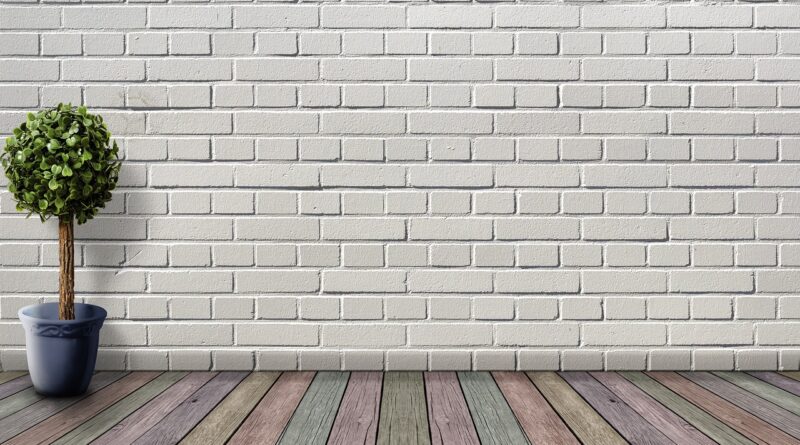 space, empty, wooden floor, plant, plant pot, boxwood, deco, houseplant, white, inner space, wooden floorboards, nature, coloured, wall, room, stone wall, architecture, living room, floor, inside, brick wall