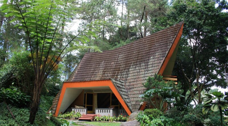 lodge, forest, architecture, home, cottage, cabin, holiday, vacation, woods, resort, woodland, nature, villa, green home