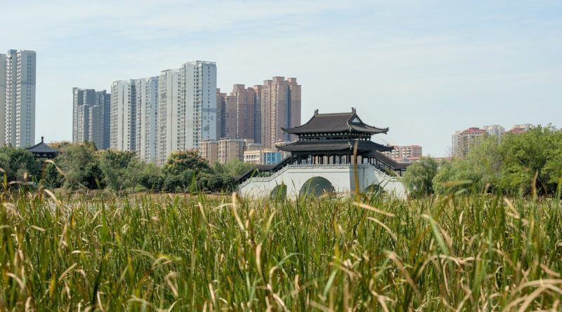 asia, china, xiangtan, landscape, scenic, horizon, city, urban, building, architecture, cityscape, outdoors, park, nature, garden, bridge, lake, grass, leaves, green, contrast, skyscraper, historical, old, story