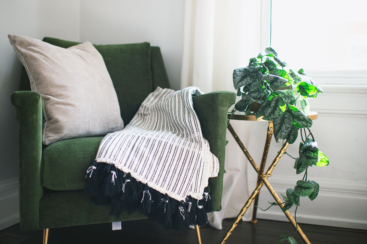 chair, nature, home, room, plant, ivy, interior, table, blanket, pillow, curtain, clean, drapes, silver satin ivy, still life