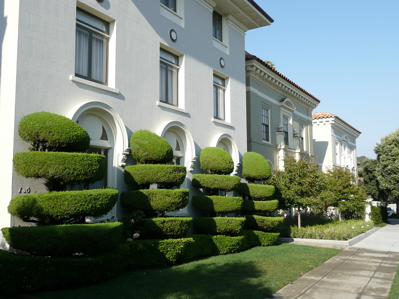 decorative, tree cut, green, building, facade, nature, landscaping, house, plant, wall