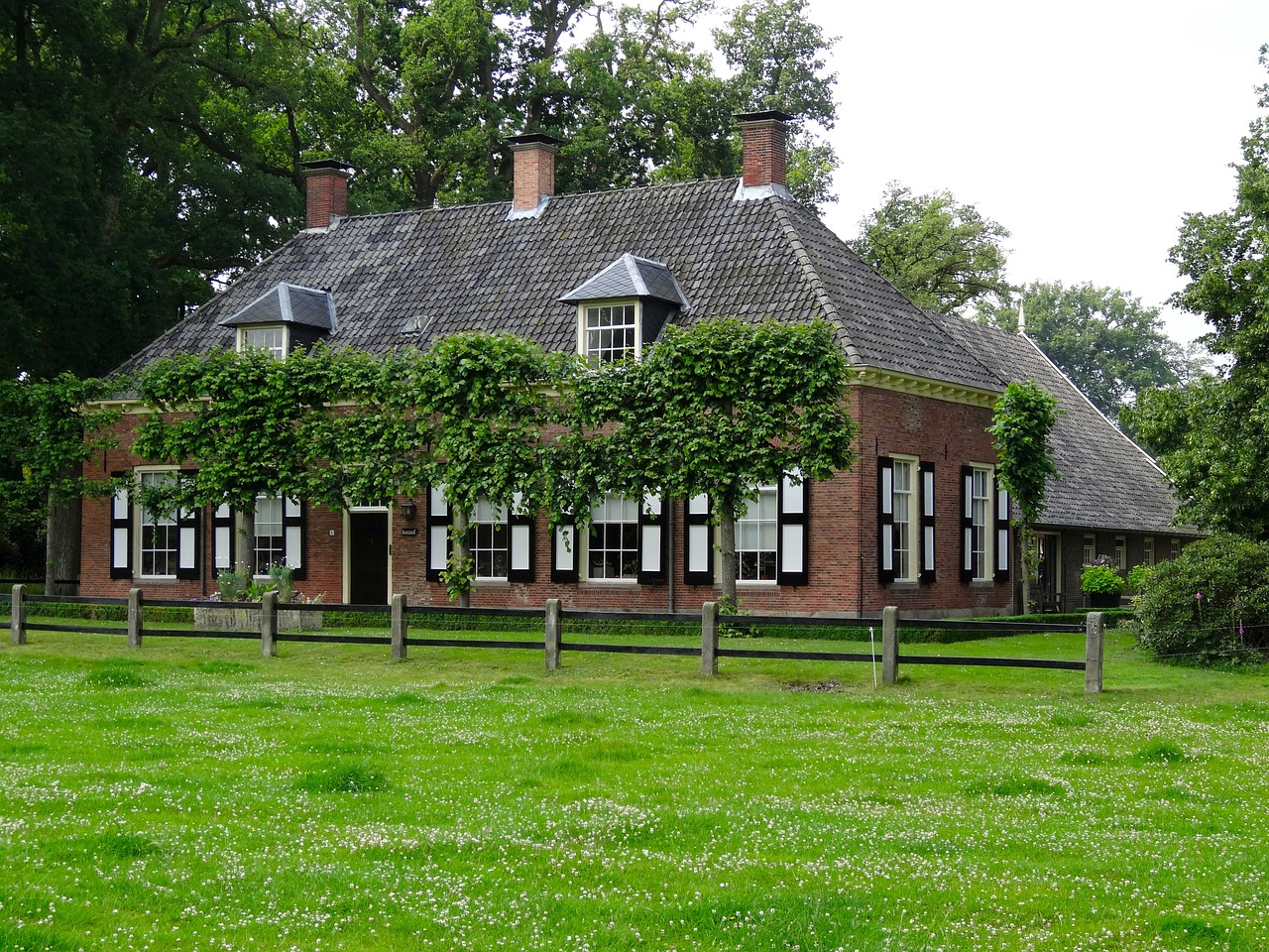 kasteelboerderij, castle, palace, house, manor, netherlands, holland, architecture, green house, green castle, palace, manor, manor, manor, manor, manor