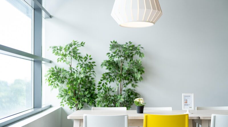 ikea, table, dining, chair, lamp, plant, natural, lifestyle, life, live, living, room, restaurant, simple, nature, white