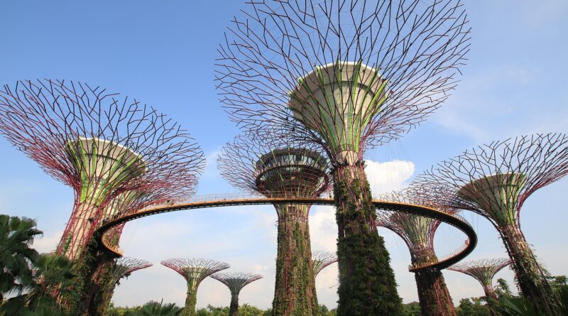 garden, gardenbythebay, supertree, singapore, architecture, art, trees, man-made, big, giant, nature, beautiful, blue art, blue beauty, blue garden, blue gardening