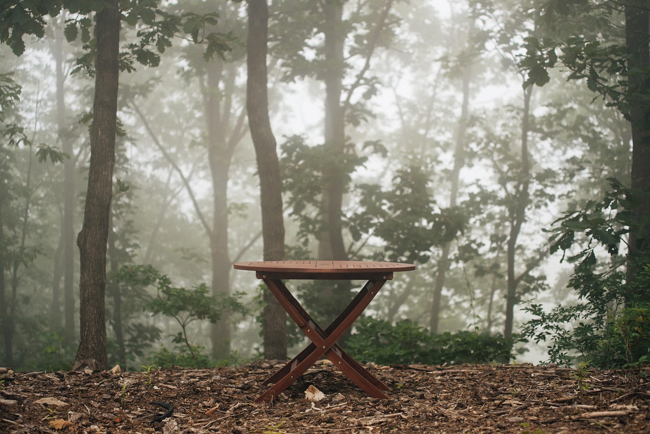 bench, table, outdoor, outdoor furniture, garden, nature, park, empty seat, tree, landscape, break, cafe, chair, bench, outdoor furniture, cafe, cafe, cafe, cafe, cafe