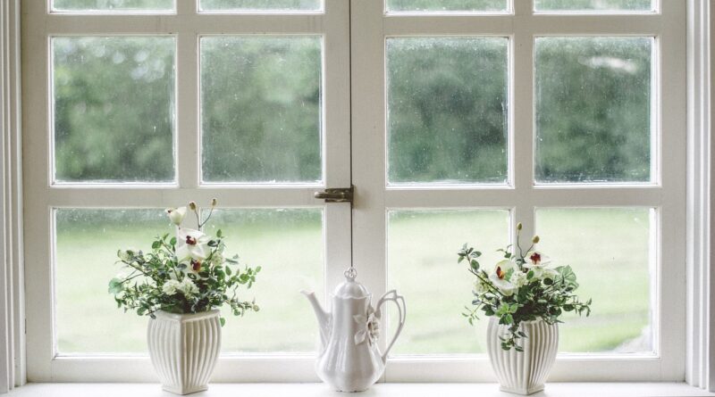white, window, free background, nature, glass, wallpaper hd, mac wallpaper, shield, 4k wallpaper, flower background, windows wallpaper, beautiful wallpaper, flower wallpaper, cool backgrounds, frame, laptop wallpaper, free wallpaper, beautiful flowers, 4k wallpaper 1920x1080, flower, hd wallpaper, desktop backgrounds, wallpaper 4k, full hd wallpaper, vase, floral background, home, interior, wallpaper
