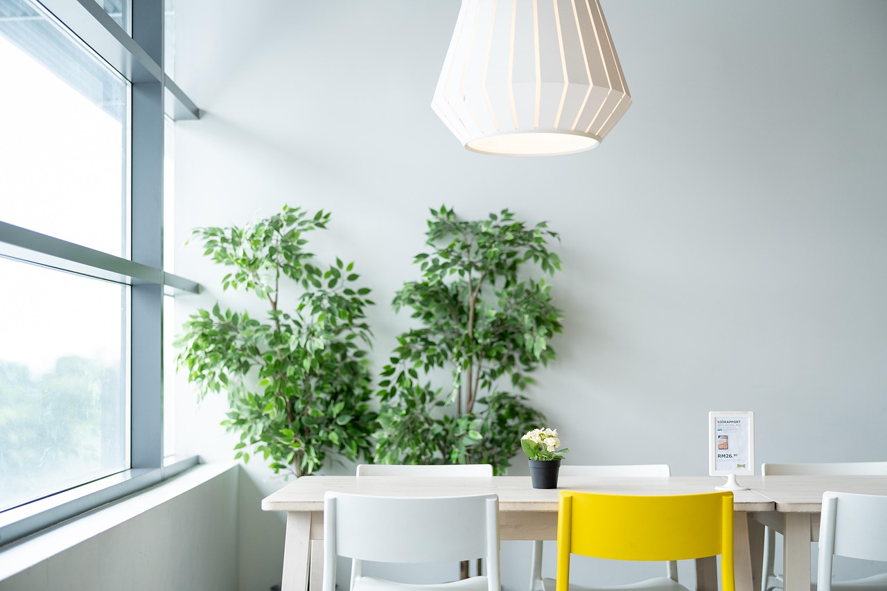 ikea, table, dining, chair, lamp, plant, natural, lifestyle, life, live, living, room, restaurant, simple, nature, white