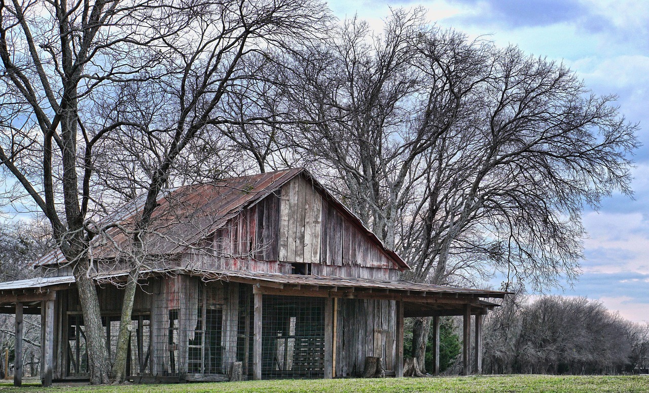 tree, wood, house, outdoors, nature, barn, old barn, countryside, country, texas, gray house, gray tree, gray wood