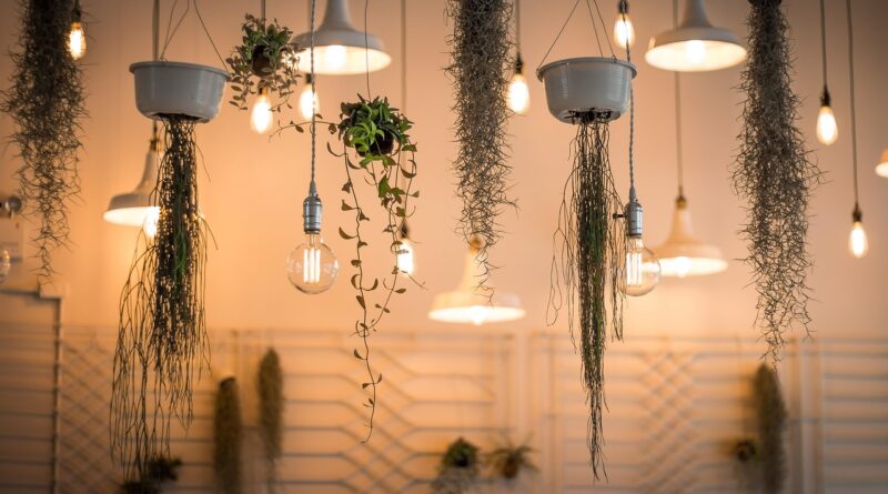 lights, nature, decoration, illuminated, interior design, plants, light bulbs, hanging plants, incandescent, lighting, interior decoration