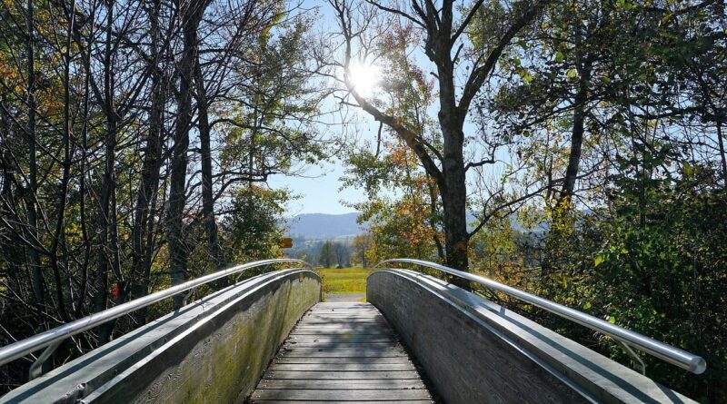 bridge, greifensee, zurich, canton, switzerland, water, nature, clouds, heaven, blue, lake, meditation, riverbank, white, beautiful, quiet, promenade, romance, swiss, outlook, rural, scenic, meadow, winter, fall, wintry, grass, landscape, pasture, sunlight, architecture, building, tree, spring, plant, green, sun, hike, vacations, vacation, excursion, path, road, maur, type, leaf, leaves, fern, easter, driveway, auferste position
