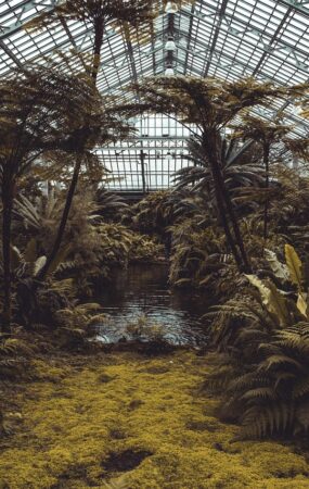 conservatory, plants, greenhouse, trees, garden, nature, eco, horticulture, ecosystem, glasshouse, environment, ecology, agriculture, hexagon, tropical, botanical, architecture, conservation, environmental, greenhouse, greenhouse, greenhouse, greenhouse, greenhouse, ecosystem, ecosystem