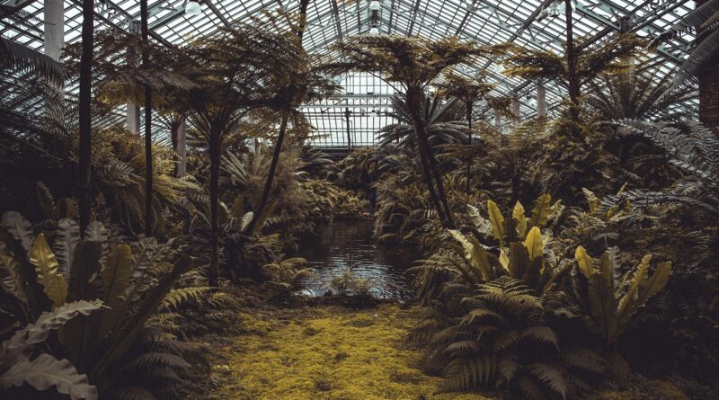 conservatory, plants, greenhouse, trees, garden, nature, eco, horticulture, ecosystem, glasshouse, environment, ecology, agriculture, hexagon, tropical, botanical, architecture, conservation, environmental, greenhouse, greenhouse, greenhouse, greenhouse, greenhouse, ecosystem, ecosystem