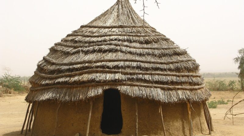 niger, africa, hut, home, house, mud, straw, village, nature, outside, country, countryside, brown home, brown house, brown village, niger, niger, hut, hut, hut, hut, hut