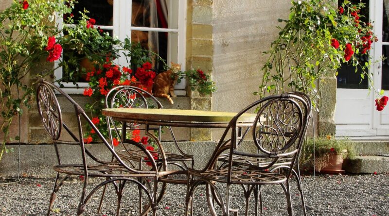france, garden, chateau, french chateau, europe, french, travel, nature, architecture, outdoor, summer, palace, design, building, paris, tourism, historical, old, exterior, heritage, european, brown travel, brown building, brown summer, brown garden, brown gardening