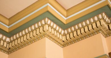 crown molding, ornate, woodwork, molding, crown, architecture, columns, home, house, expensive, rich, ceiling, craftsmanship, interior, moulding, wood, arch, baroque, building, color, decor, decorated, destination, fine, carpenter, carpentry, craftsman, chisel, etch, yellow, green, shape, design, lds, tabernacle, church, mormon, brigham city, utah, pattern, culture, structure, wall, orange home, orange city, orange house, orange wood, orange building, orange church, orange wall, orange pattern, orange culture, orange interior, crown molding, crown molding, crown molding, crown molding, moulding, moulding, moulding, moulding, moulding