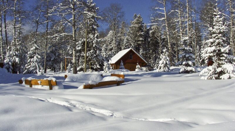 ranch building, wooden, architecture, beautiful, winter, season, nature, snow, cold, dry, home, wintry, freezing, gray home