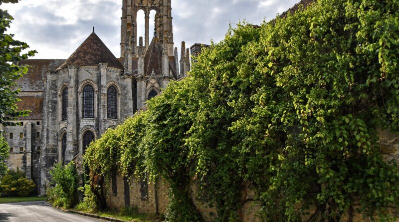 church, wall, green, ivy, architecture, former, pierre, larchant, france, ivy, ivy, ivy, ivy, ivy