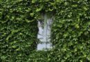 green, window, house, plant, reflection, nature, summer, design, home, architecture, kitchen, sunshine, barn, gateway, tree, cave, model, girl, landscape, glass, green home, green house, green kitchen, green window, green model, green glass, green design, green sunshine, green glasses