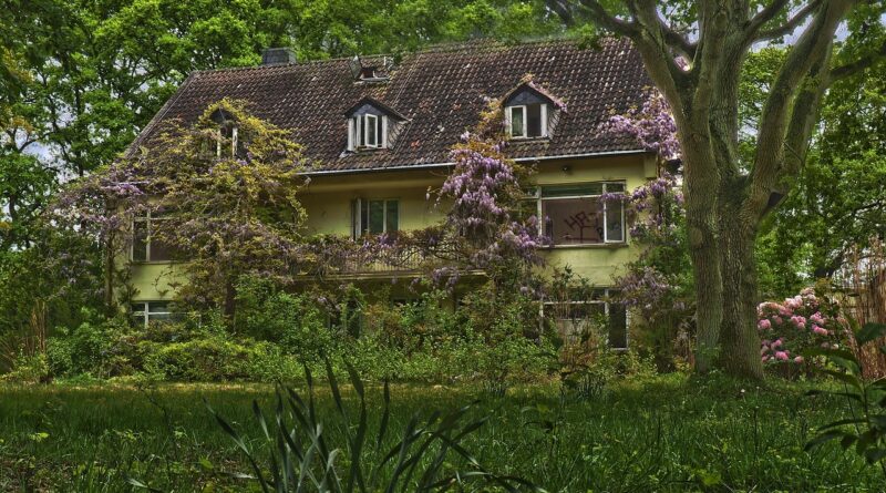 house, architecture, rural, garden, nature, building, old, tree, grass, outside, green, meadow, plant, grasses, in the free, outdoors, green grass, spring, lawn, high grass, overgrown, wisteria, disintegration, weathered, decay, neglected, dilapidated, dilapidated, shabby, transience, broken, ephemeral, ruin, lost, passed, to forget, lost places, past, pforphoto, ailing, forgotten places, given up, destruction, finiteness, disintegrate, dirt, dirty, hdr, overgrown, wisteria, wisteria, wisteria, wisteria, wisteria