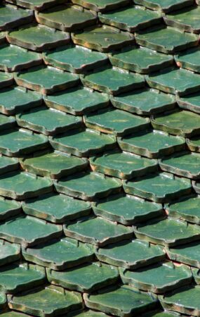 roof, tenerife, loropark, green, building, canary islands, architecture, design