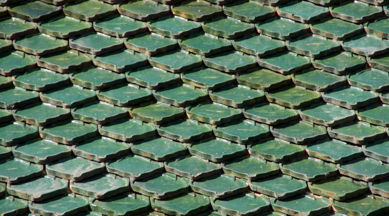 roof, tenerife, loropark, green, building, canary islands, architecture, design